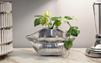 VASO MOUTH LIP SILVER